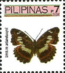 Commander Butterfly (Moduza urdaneta aynii)